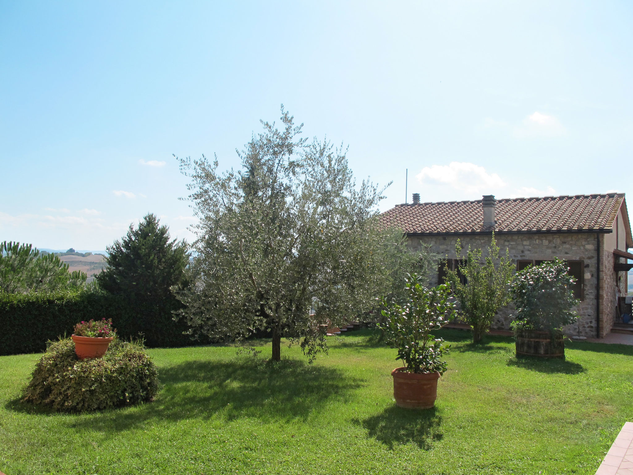 Foto 12 - Appartamento con 1 camera da letto a Lajatico con piscina e giardino