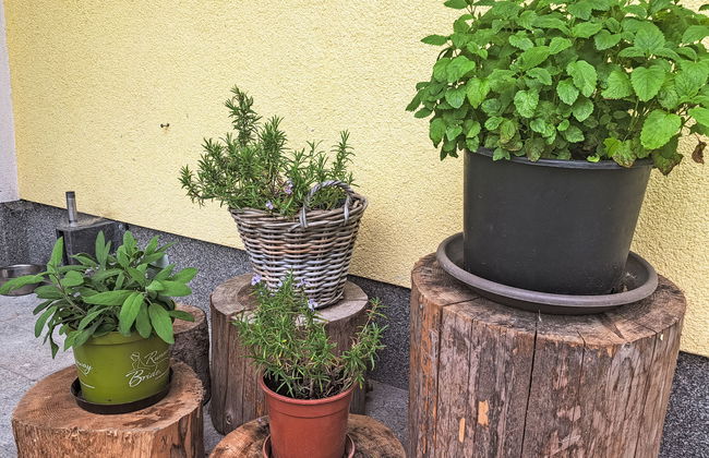 Apartamento de 2 quartos em Oberwang com jardim - Foto 30