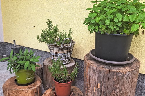 Foto 30 - Apartamento de 2 quartos em Oberwang com jardim