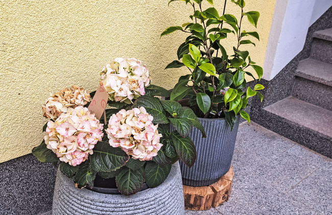Apartamento de 2 quartos em Oberwang com jardim - Foto 29