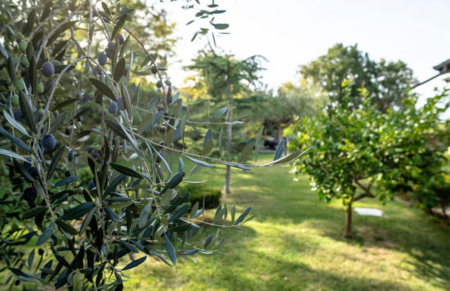 Casa de 3 quartos em Città Sant'Angelo com piscina e jardim - Foto 37