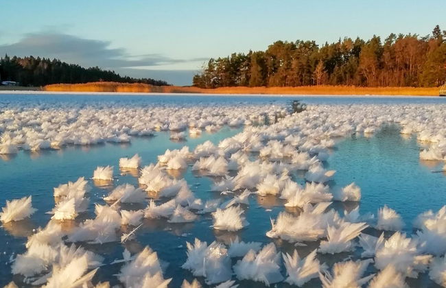 Villa Ekdal - Foto 40