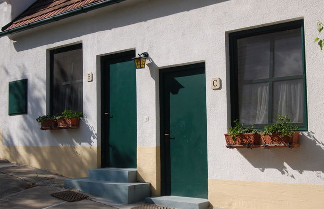 Apartamento de 2 quartos em Mörbisch am See com terraço - Foto 39