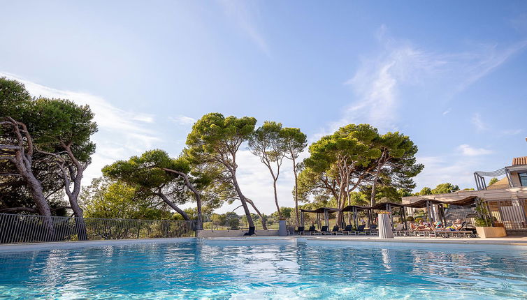 Foto 1 - Appartamento con 2 camere da letto a Saumane-de-Vaucluse con piscina e giardino