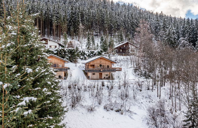 Casa de 4 quartos em Reichenau com jardim e terraço - Foto 40