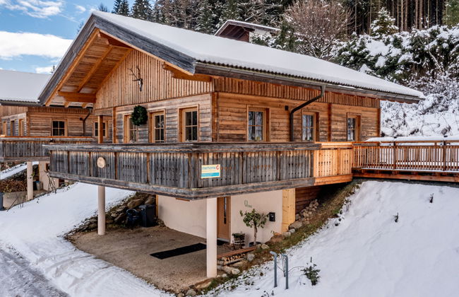 Casa de 4 quartos em Reichenau com jardim e terraço - Foto 41