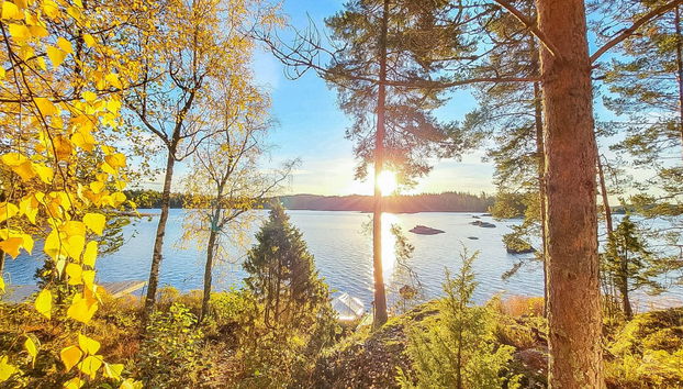 Haus mit 2 Schlafzimmern in Savonlinna mit sauna - Foto 5