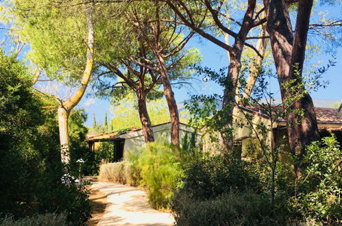 Foto 23 - Haus mit 1 Schlafzimmer in Castiglione della Pescaia mit schwimmbad und garten