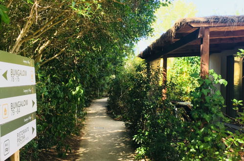 Foto 41 - Haus mit 2 Schlafzimmern in Castiglione della Pescaia mit schwimmbad und garten