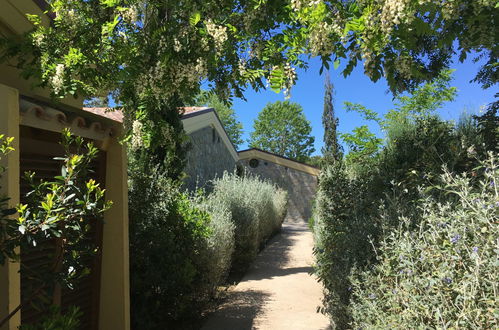 Photo 15 - Maison de 2 chambres à Castiglione della Pescaia avec piscine et jardin