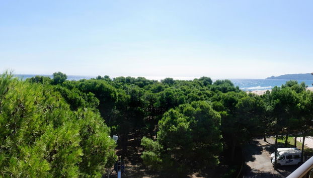 APCOSTAS La Pineda / Dos Dormitorios - Foto 5