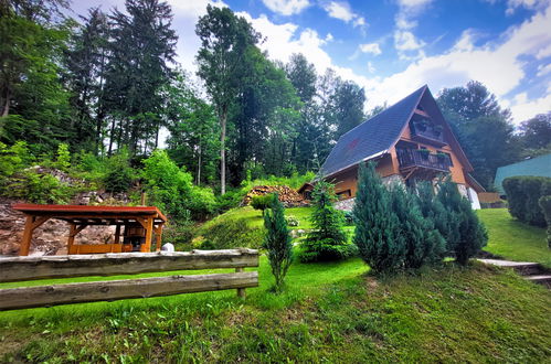 Photo 27 - Maison de 3 chambres à Benecko avec jardin