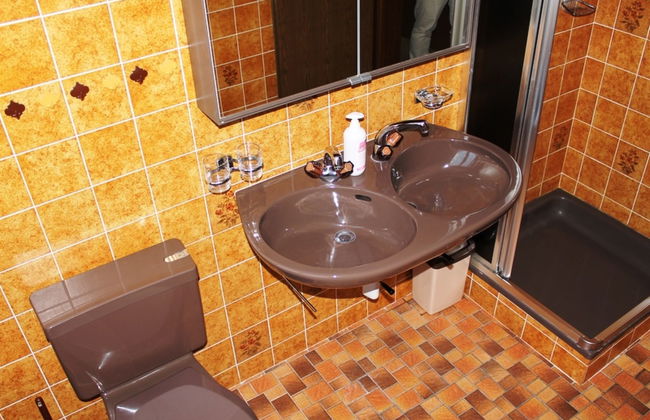 Apartamento de 2 quartos em Tujetsch - Foto 9