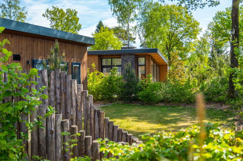 Photo 46 - House in Otterlo with swimming pool and terrace