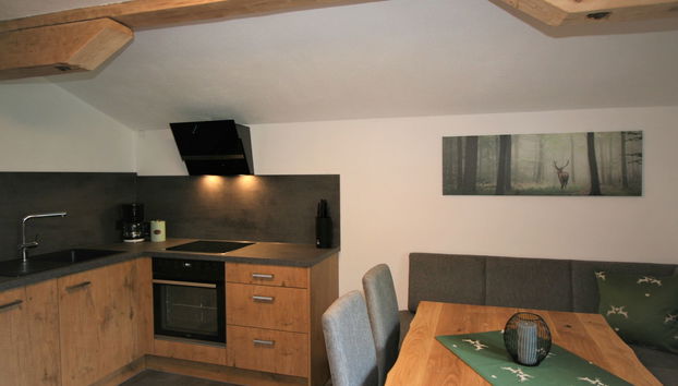 Apartment mit 3 Schlafzimmern in Ramsau im Zillertal mit garten und terrasse - Foto 5
