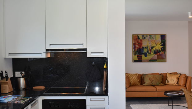 Apartamento de 2 quartos em Ascona com piscina e jardim - Foto 4