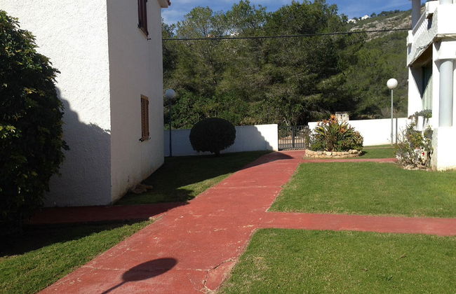 Palma Blanca 3000 - Foto 3