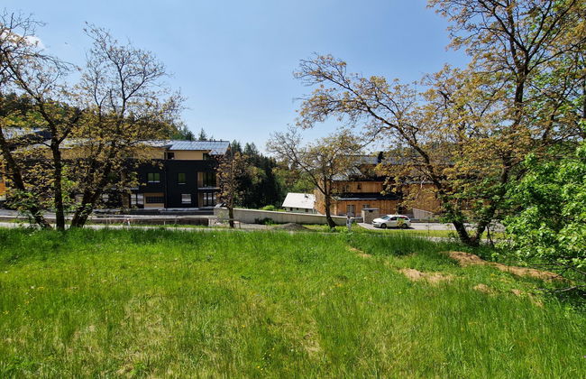 Apartment mit 1 Schlafzimmer in Černý Důl - Foto 22