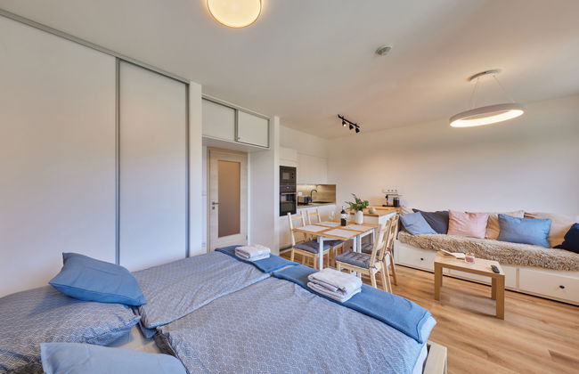 Apartment mit 1 Schlafzimmer in Černý Důl - Foto 19