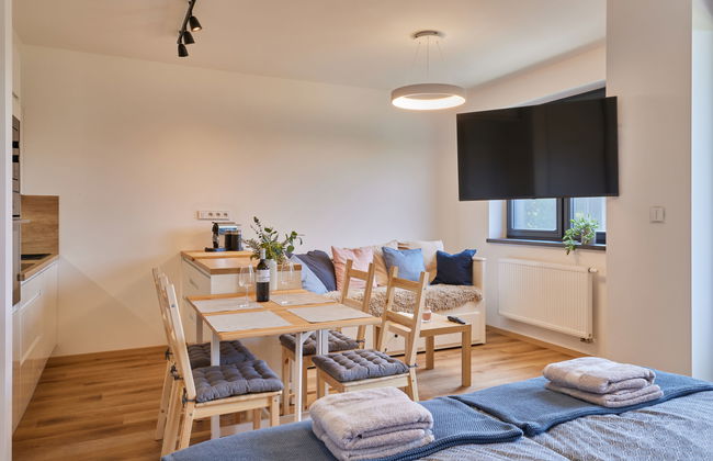 Apartment mit 1 Schlafzimmer in Černý Důl - Foto 11