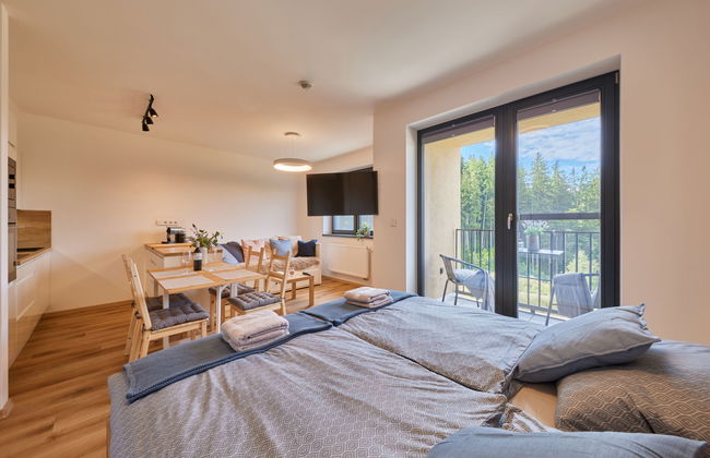 Apartment mit 1 Schlafzimmer in Černý Důl - Foto 3