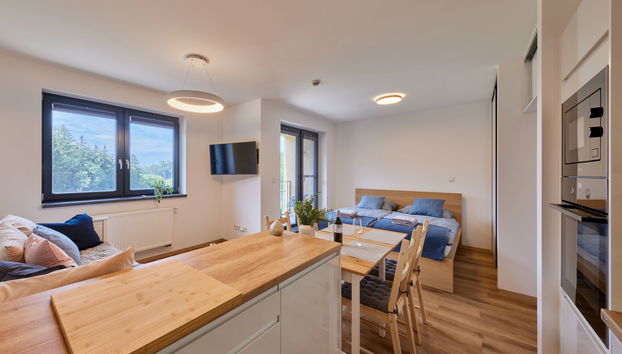Apartment mit 1 Schlafzimmer in Černý Důl - Foto 4