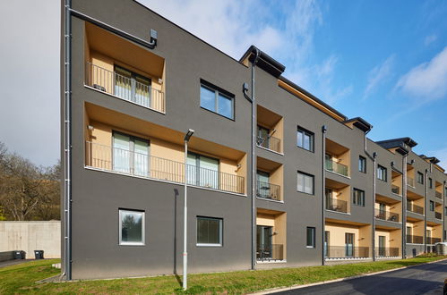 Foto 47 - Apartment in Černý Důl mit blick auf die berge