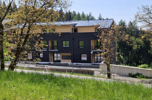 Photo 27 - Apartment in Černý Důl with mountain view