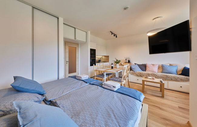 Apartment mit 1 Schlafzimmer in Černý Důl - Foto 10