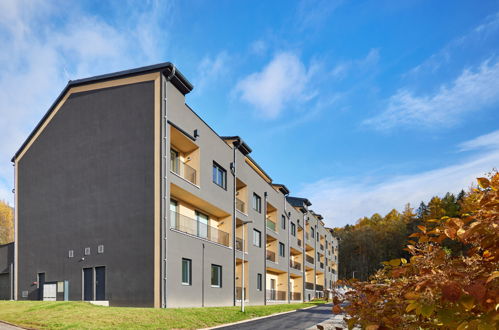 Photo 49 - Apartment in Černý Důl with mountain view