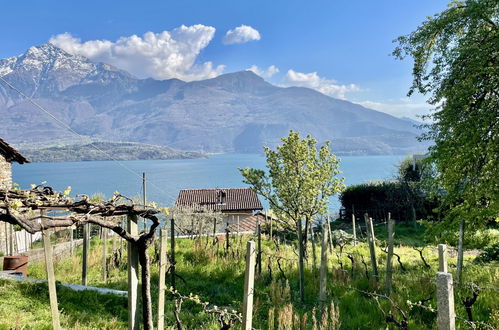 Photo 23 - Apartment in Domaso with mountain view