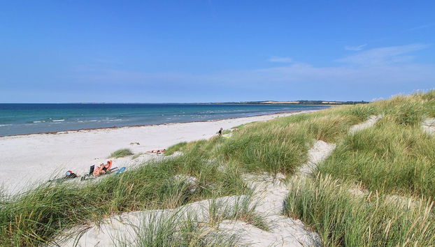 Maison de 3 chambres à Højby avec terrasse et sauna - Photo 4