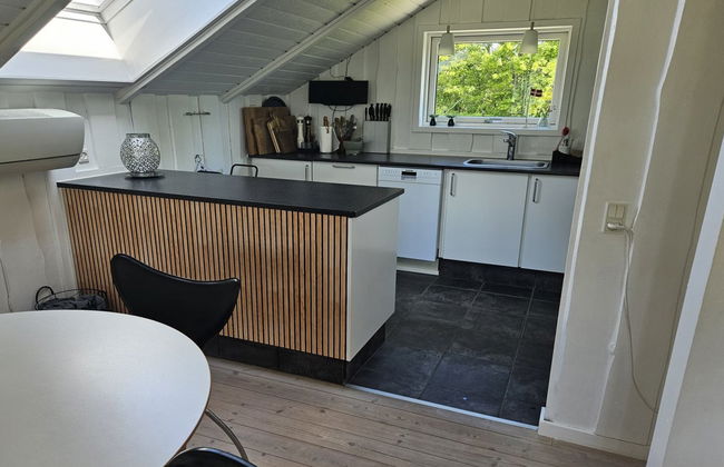 Maison de 3 chambres à Skjern avec terrasse et sauna - Photo 25