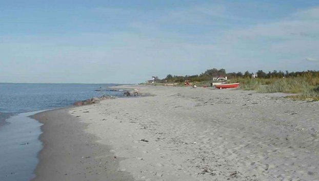 2 bedroom House in Otterup with terrace and sauna - Photo 3