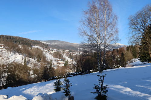 Foto 33 - Appartamento a Rokytnice nad Jizerou con piscina e terrazza