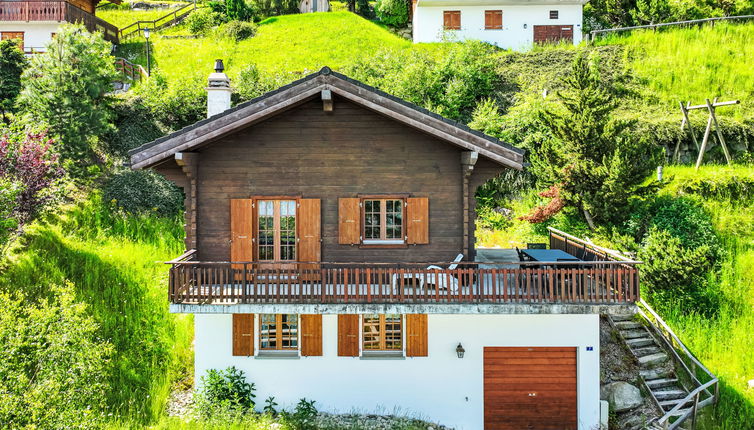 Photo 1 - Maison de 2 chambres à Nendaz avec jardin et terrasse