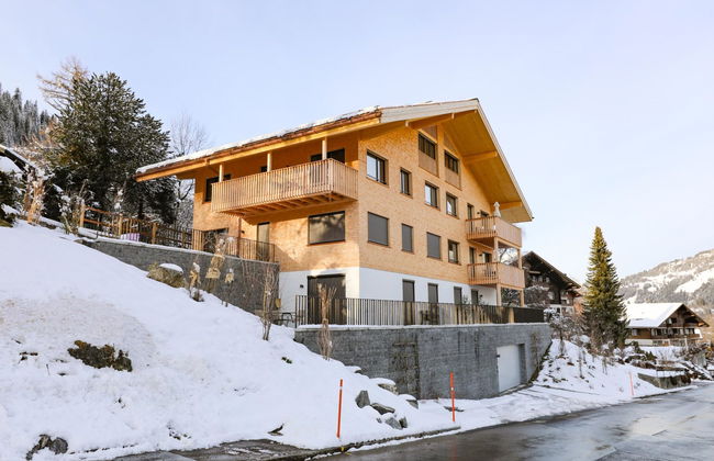 Apartamento de 1 quarto em Zweisimmen - Foto 11