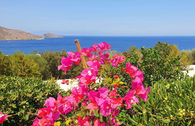 Tilos Villa - Foto 12