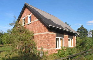 Photo 1 - Maison de 3 chambres à Skjern avec terrasse