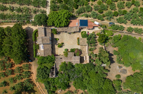 Foto 35 - Casa de 2 quartos em Castelvetrano com terraço