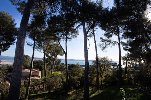 Foto 34 - Appartamento con 3 camere da letto a Hyères con piscina e vista mare