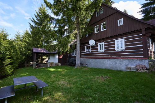 Foto 28 - Haus mit 9 Schlafzimmern in Harrachov mit garten und terrasse