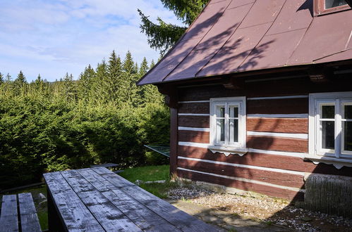 Foto 27 - Casa con 9 camere da letto a Harrachov con giardino e terrazza