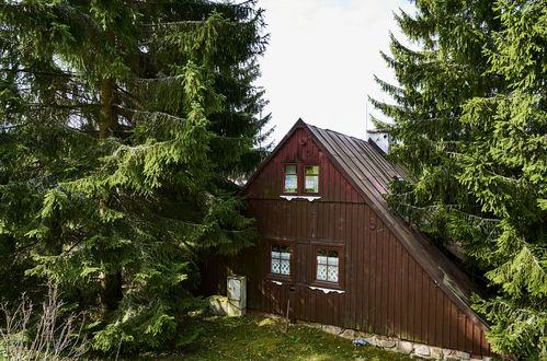 Foto 30 - Casa de 9 quartos em Harrachov com jardim e terraço