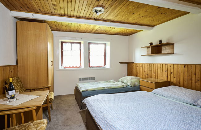 Casa de 9 quartos em Harrachov com jardim e terraço - Foto 5