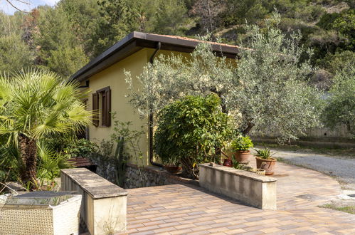 Photo 27 - Maison de 1 chambre à Vintimille avec piscine et jardin