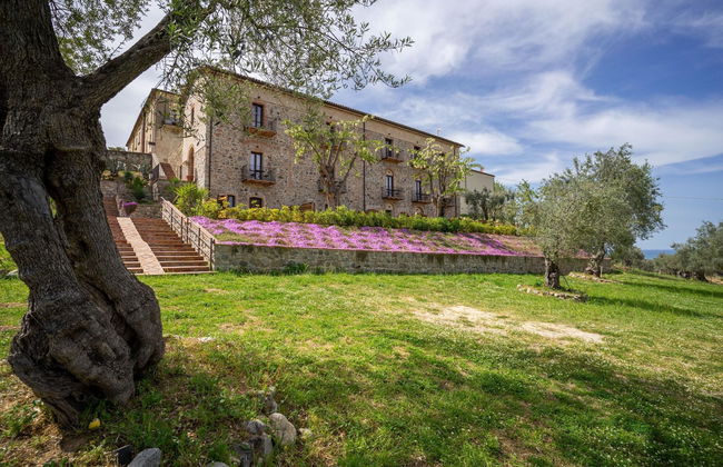 Tenuta Ciminata Greco - Foto 27