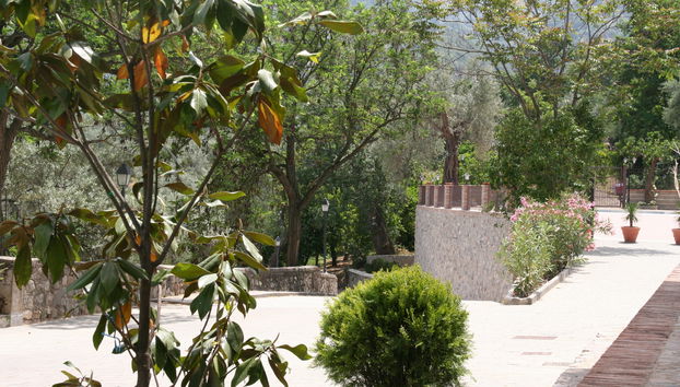 Tenuta Ciminata Greco - Foto 4