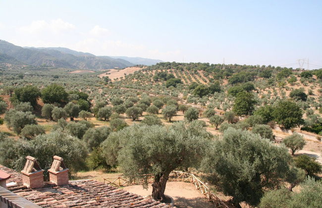 Tenuta Ciminata Greco - Foto 41