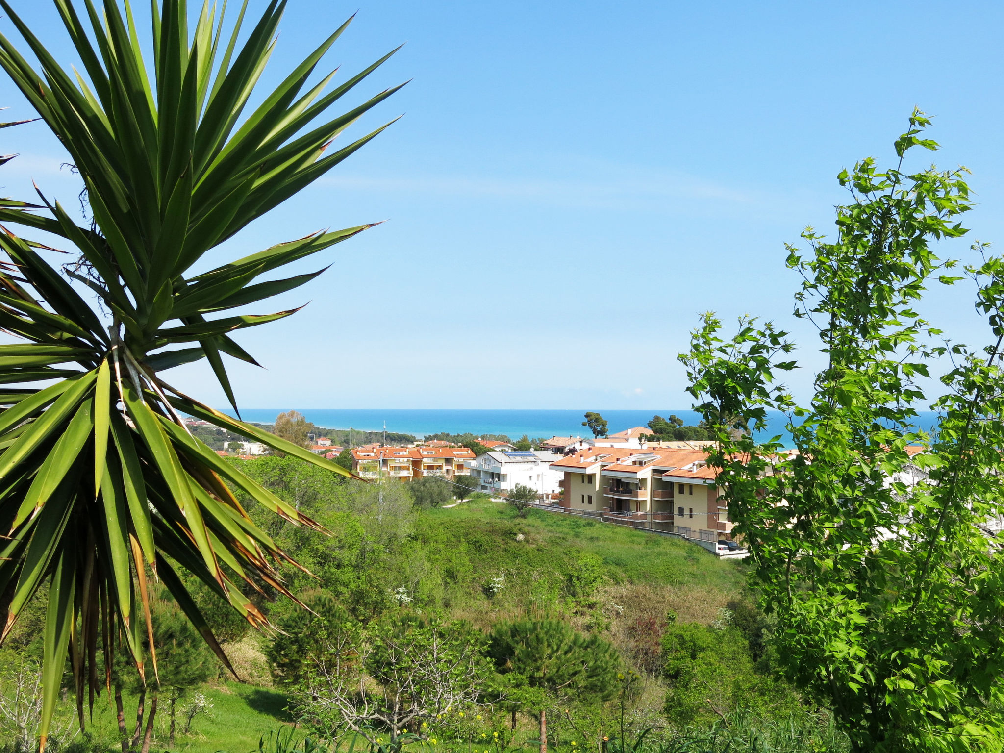 Photo 3 - Appartement de 2 chambres à Pineto avec jardin et vues à la mer